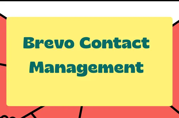 Brevo contact management explained for email marketing beginners
